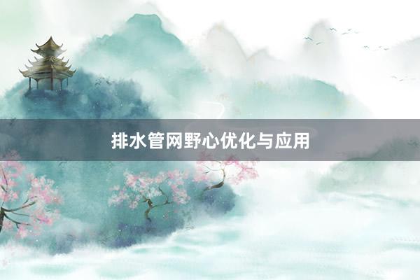 排水管网野心优化与应用