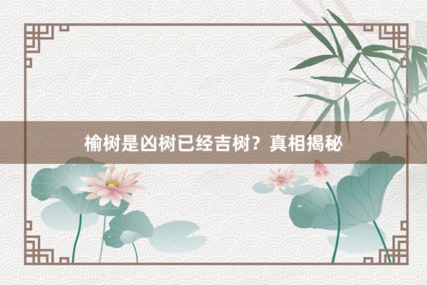 榆树是凶树已经吉树？真相揭秘