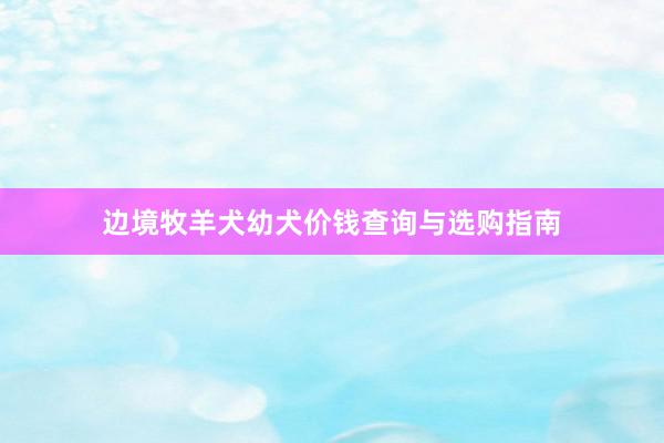 边境牧羊犬幼犬价钱查询与选购指南