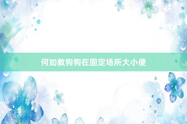 何如教狗狗在固定场所大小便